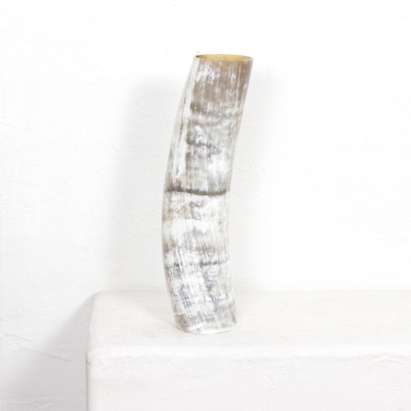 Horn Vase
